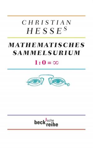 Cover of the book Christian Hesses mathematisches Sammelsurium by Hermann Kurzke