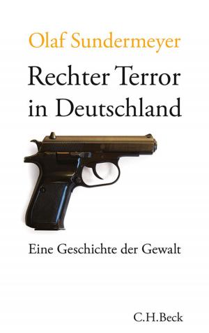 Cover of the book Rechter Terror in Deutschland by Harald Weinrich
