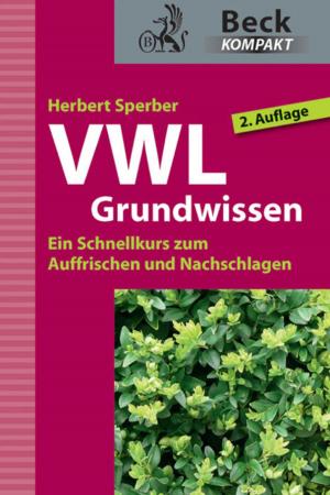 Cover of the book VWL Grundwissen by Tonio Hölscher