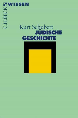 Cover of the book Jüdische Geschichte by Helmut Reinalter