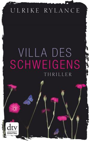 Cover of the book Villa des Schweigens by Felix Dahn