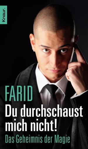 Cover of the book Du durchschaust mich nicht by Ana Veloso