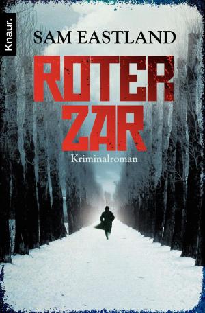 Cover of the book Roter Zar by Iny Lorentz