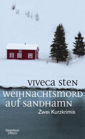 Cover of the book Weihnachtsmord auf Sandhamn by Cornelia Stolze