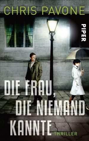 Cover of the book Die Frau, die niemand kannte by Wolfgang Hohlbein