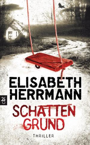 Book cover of Schattengrund