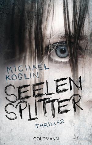 Cover of the book Seelensplitter by Richard Laymon