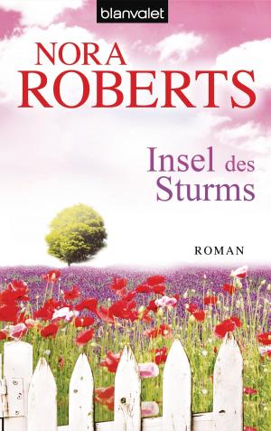 Cover of the book Insel des Sturms by Marc Levy