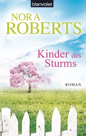 Book cover of Kinder des Sturms