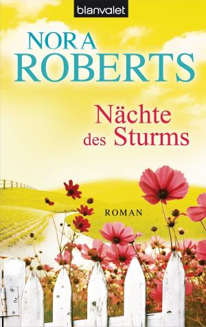 Cover of the book Nächte des Sturms by Claire Hajaj