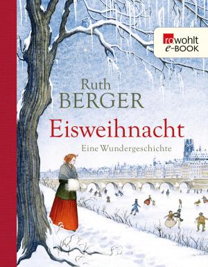 Cover of the book Eisweihnacht by Christian Nürnberger