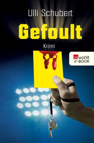 Cover of the book Gefoult by Vincent Klink