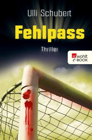 Cover of the book Fehlpass by Jon Fosse