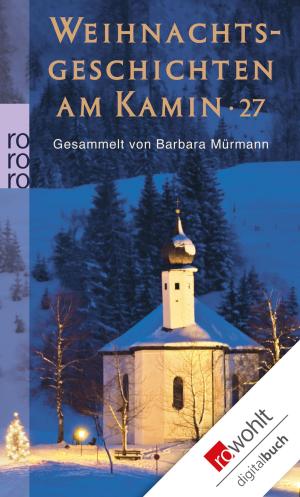Book cover of Weihnachtsgeschichten am Kamin 27
