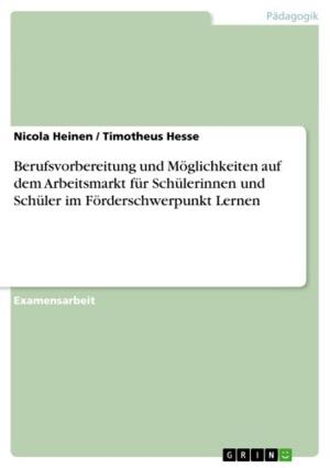 Cover of the book Berufsvorbereitung und Möglichkeiten auf dem Arbeitsmarkt für Schülerinnen und Schüler im Förderschwerpunkt Lernen by Thilo Helpenstein