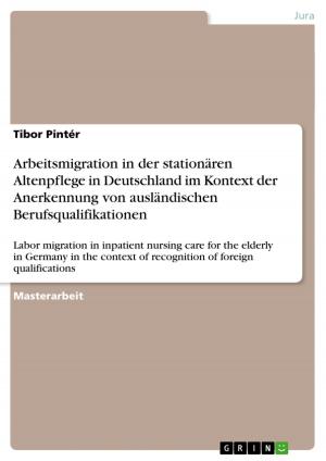 Cover of the book Arbeitsmigration in der stationären Altenpflege in Deutschland im Kontext der Anerkennung von ausländischen Berufsqualifikationen by Daniel Kreienkamp