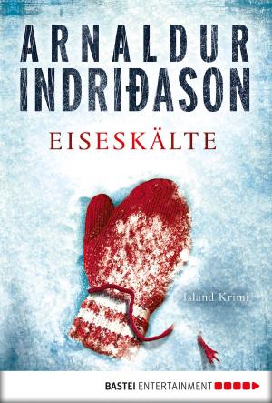 Cover of the book Eiseskälte by Karin Jäckel