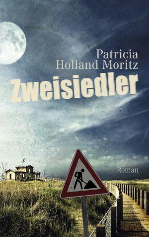 Cover of the book Zweisiedler by Barbara Keller