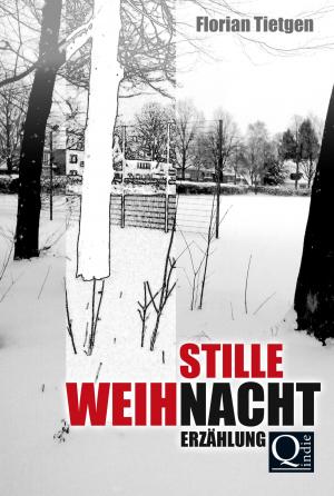 Cover of the book Stille Weihnacht by Regina Meißner