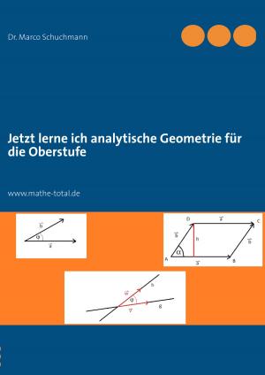 Cover of the book Jetzt lerne ich analytische Geometrie für die Oberstufe by Josephine Siebe