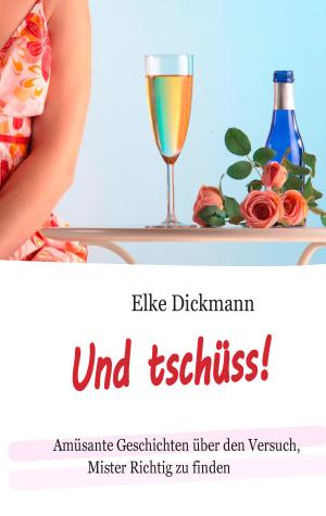Cover of the book Und tschüss! by Frank Mildenberger