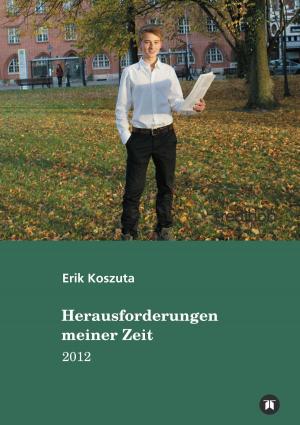 Cover of the book Herausforderungen meiner Zeit by Detlef G. Möhrstädt, Jürgen Schmiezek, Rainer Machek