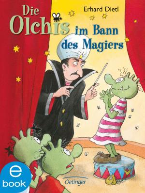 Cover of Die Olchis im Bann des Magiers
