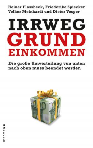 Cover of the book Irrweg Grundeinkommen by Katrin Wilkens
