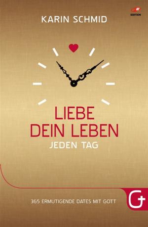 Cover of the book Liebe dein Leben jeden Tag by Paul Ellis