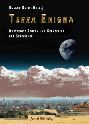 Book cover of Terra Enigma
