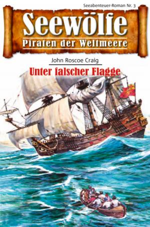 Cover of the book Seewölfe - Piraten der Weltmeere 3 by Derek Haines