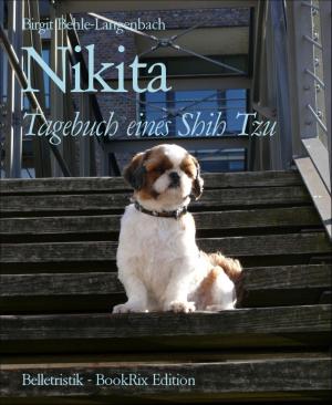 Cover of the book Nikita by John Damocles Smith