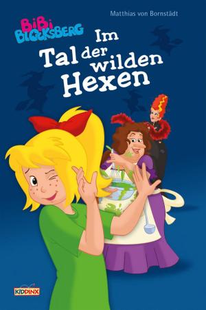 Book cover of Bibi Blocksberg - Im Tal der wilden Hexen