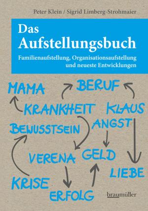 Cover of the book Das Aufstellungsbuch by Bernie Rieder