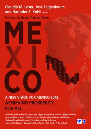 Cover of the book A New Vision for Mexico 2042 by Diane Staehr Fenner, Sydney Cail Snyder
