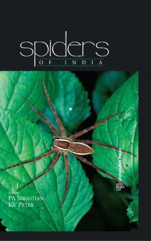 Cover of the book Spiders of India by Sir Sabaratnam Arulkumaran, Rohana Haththotuwa, Jaydeep Tank; Parikshit Tank