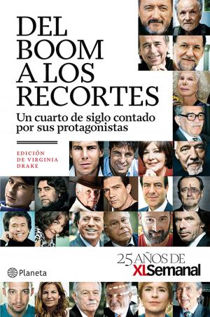 Cover of the book Del boom a los recortes by Malenka Ramos