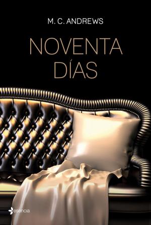 Cover of the book Noventa días by Ramiro Calle