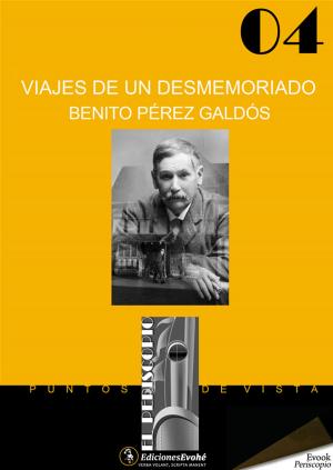 Cover of the book Viajes de un desmemoriado by Alberto Bernabé