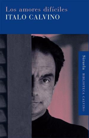 Cover of the book Los amores difíciles by José María Guelbenzu