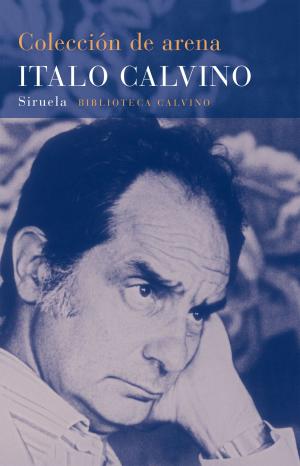 Cover of the book Colección de arena by Amos Oz