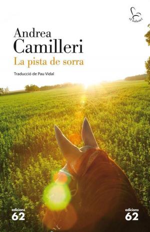 Cover of the book La pista de sorra by Ferran Torrent