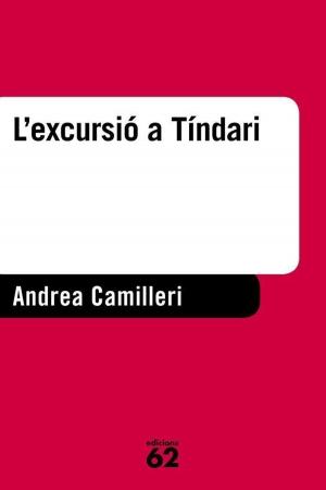 Cover of the book L'excursió a Tíndari by Jordi Puntí