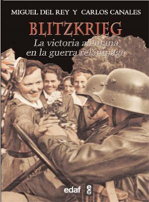 Cover of the book BLITZKRIEG by Luis  Pita Puebla, Luis Márquez R.