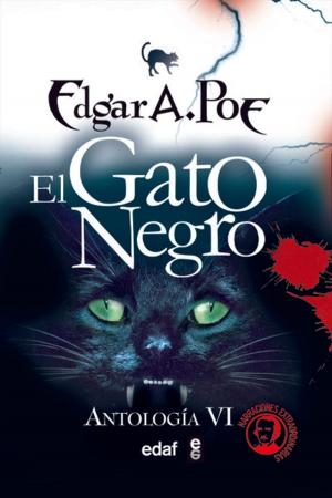 Cover of the book EL GATO NEGRO by Oscar Wilde