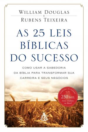Book cover of As 25 leis bíblicas do sucesso