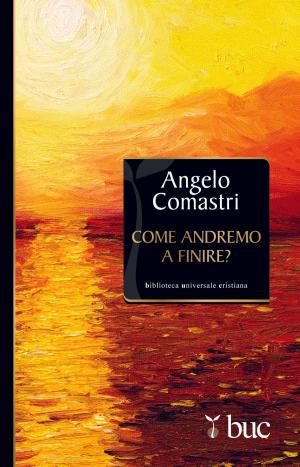 Cover of the book Come andremo a finire? by Alessandro Manzoni
