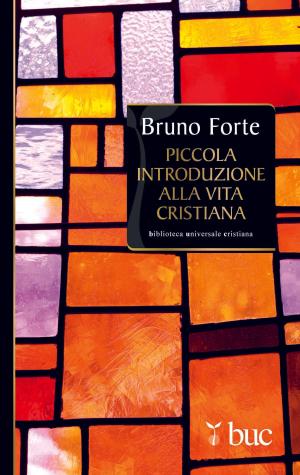 Cover of the book Piccola introduzione alla vita cristiana by James Martin