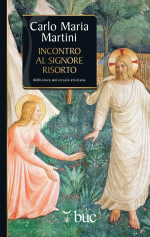 Cover of the book Incontro al Signore risorto by San Benedetto