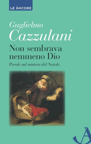 Cover of the book Non sembrava nemmeno Dio. Parole sul mistero del Natale by Luca Violoni